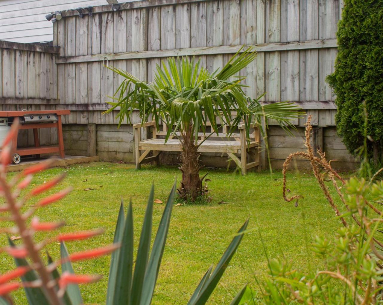 Palm Motel Waihi Zewnętrze zdjęcie